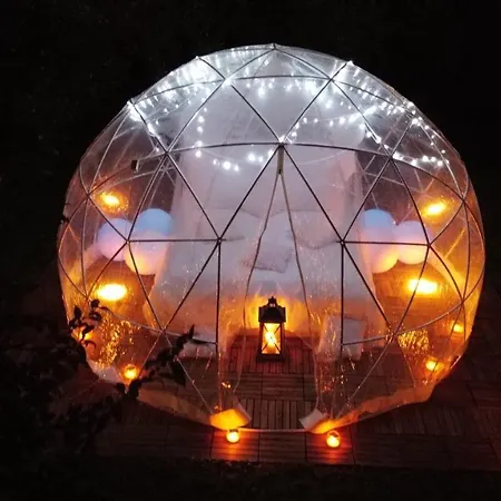 Kemping Bubble On The Pool *