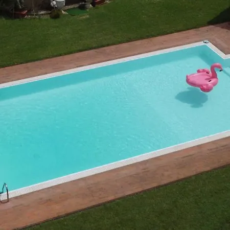 Bubble On The Pool Kemping Piza